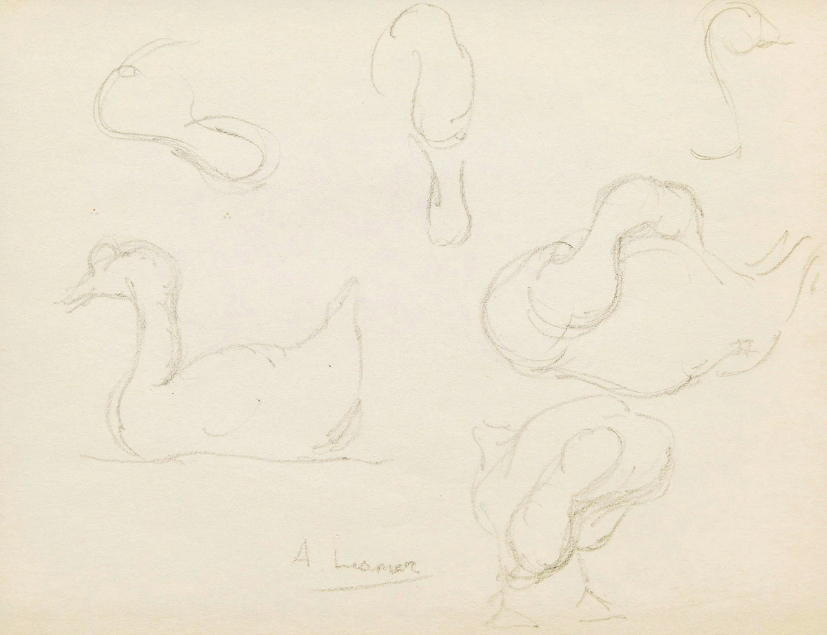 Arthur Lismer, Duck Sketches, pencil