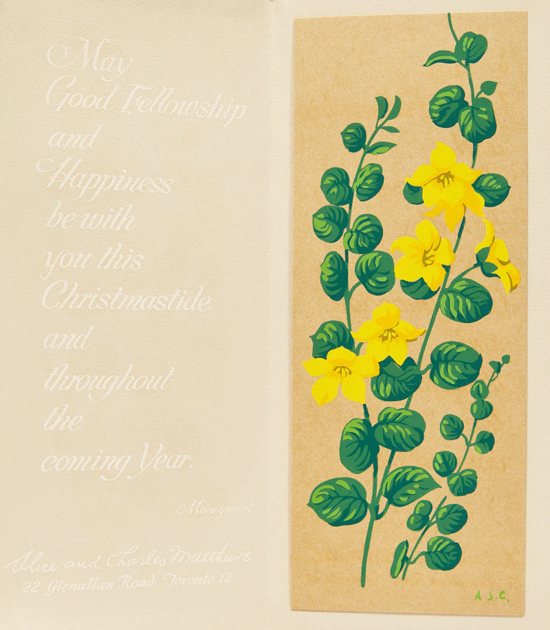 Alfred Joseph Casson, Moneywort; Yellow Lady Slipper; Native Flag; American Globeflower, three colour sillkscreens on veneer and one colour silkscreen on card - view 2