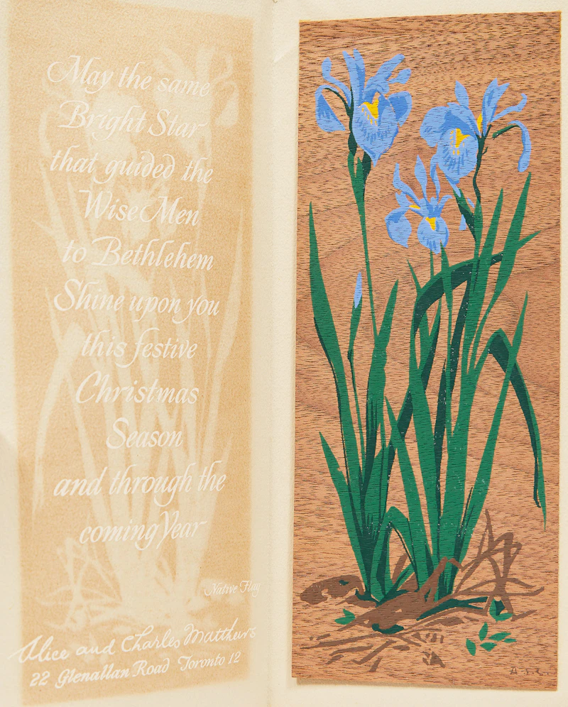 Alfred Joseph Casson, Moneywort; Yellow Lady Slipper; Native Flag; American Globeflower, three colour sillkscreens on veneer and one colour silkscreen on card - view 6