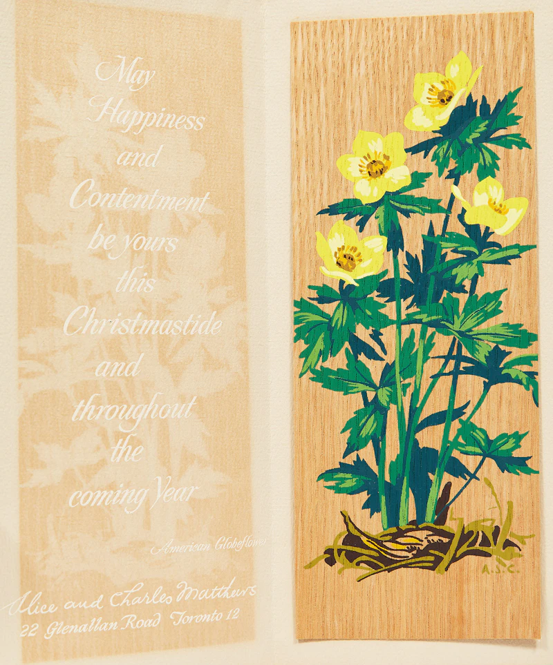 Alfred Joseph Casson, Moneywort; Yellow Lady Slipper; Native Flag; American Globeflower, three colour sillkscreens on veneer and one colour silkscreen on card - view 8