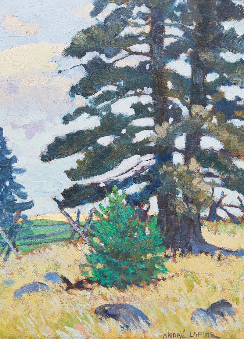 The Pines II, “Capt” Millars Cottage, Big Bay Point by Andréas Christian Gottfried Lapine