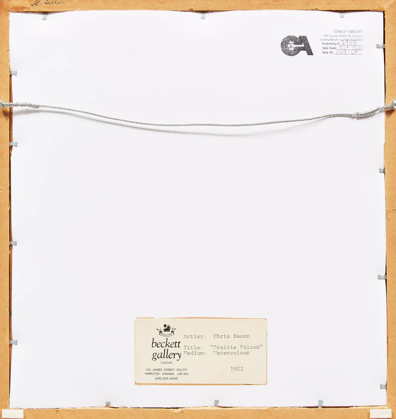 Chris E. Bacon, Prairie Falcon, watercolour, 1982 - view 3