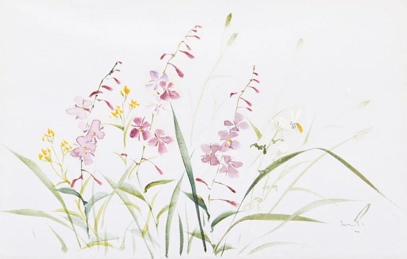 Marjorie Pigott, Floral Studies, three watercolours