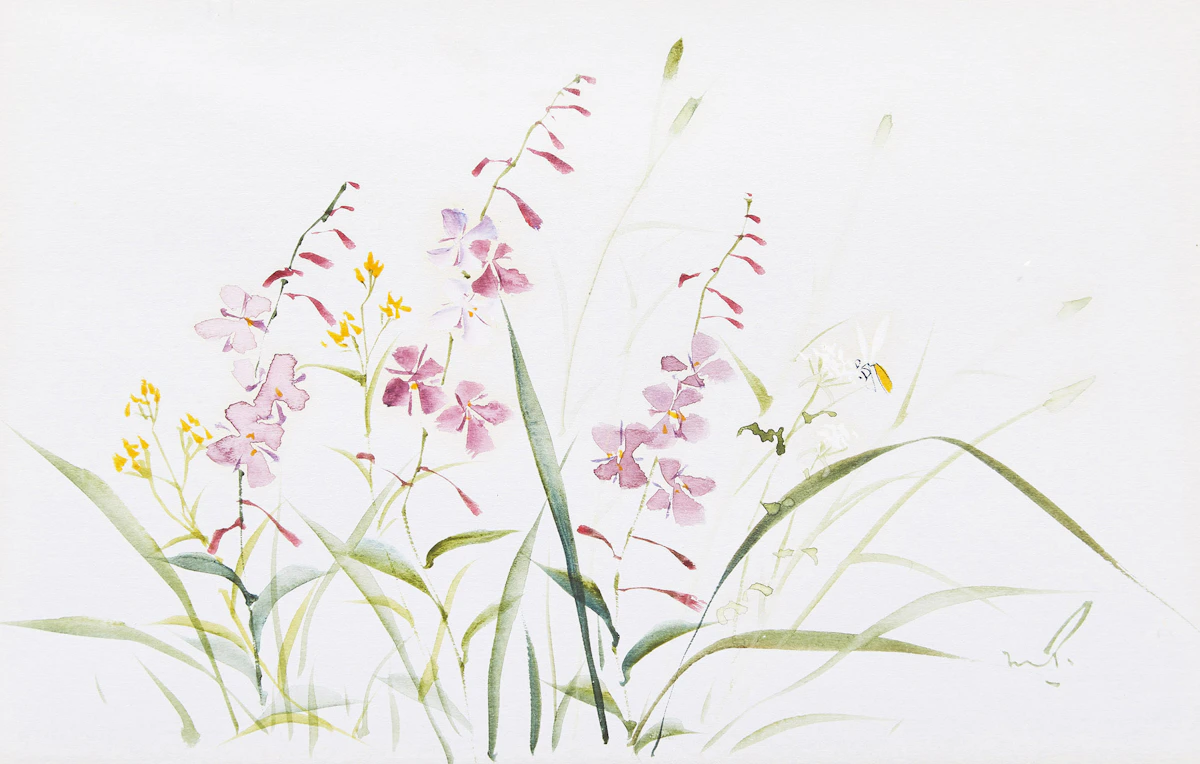 Marjorie Pigott, Floral Studies, three watercolours