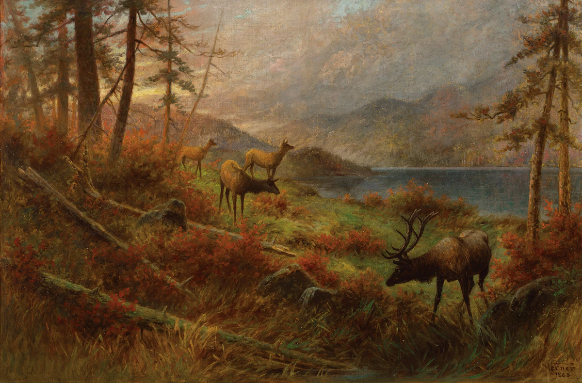 Frederick Arthur Verner, Elk Browsing, oil on canvas, 1888