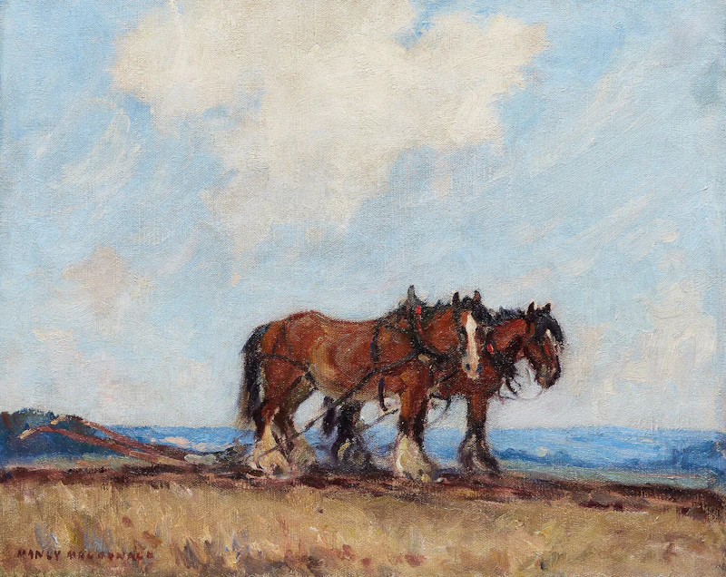 Rest Break, Bay Clydesdales by Manly Edward MacDonald
