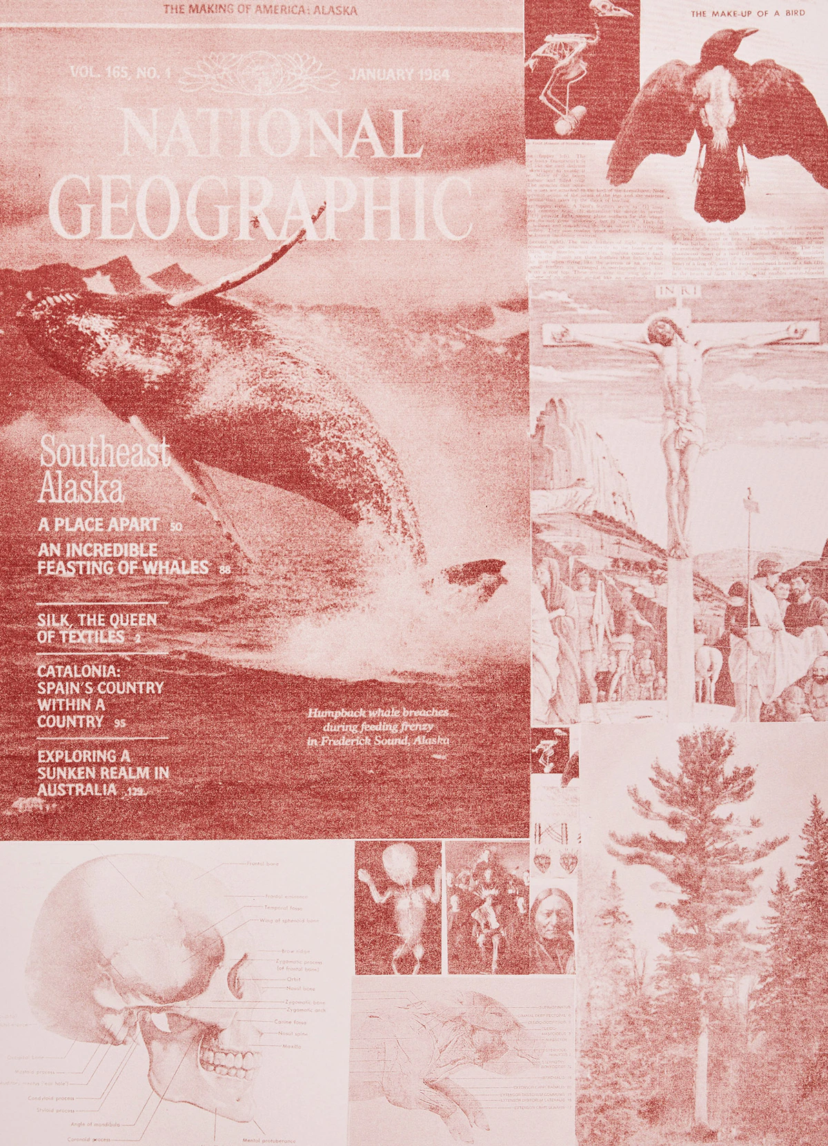 Carl Beam, 2000, screenprint