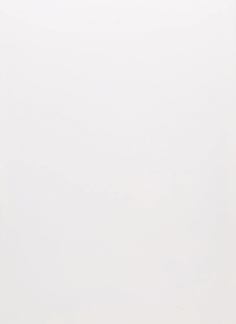 Carl Beam, 2000, screenprint - view 3