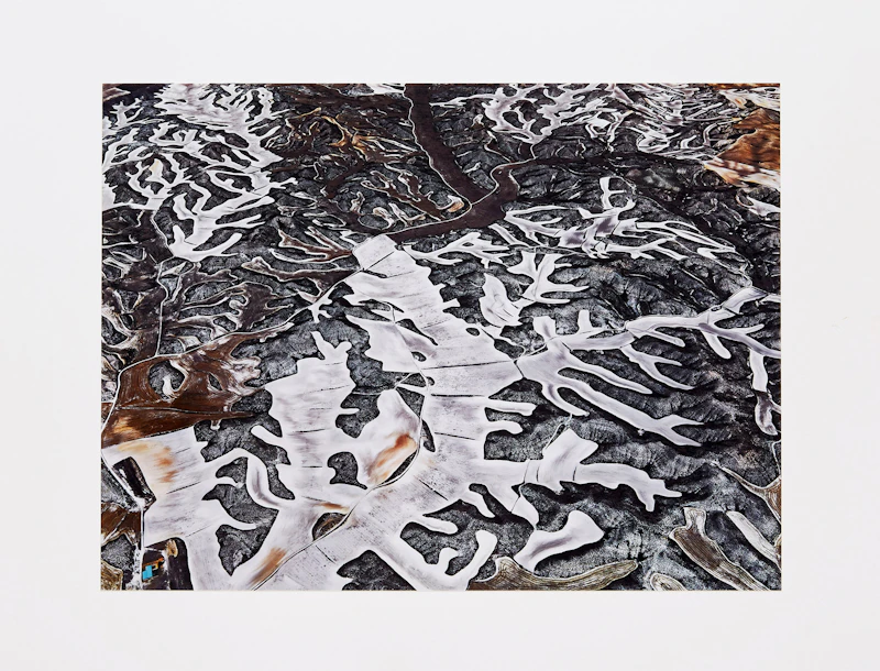 Edward Burtynsky, Dryland Farming #7, Monegros County, Aragon, Spain, digital chromogenic colour print on Kodak ultra endura paper laid down on substrate, 2010 - view 2