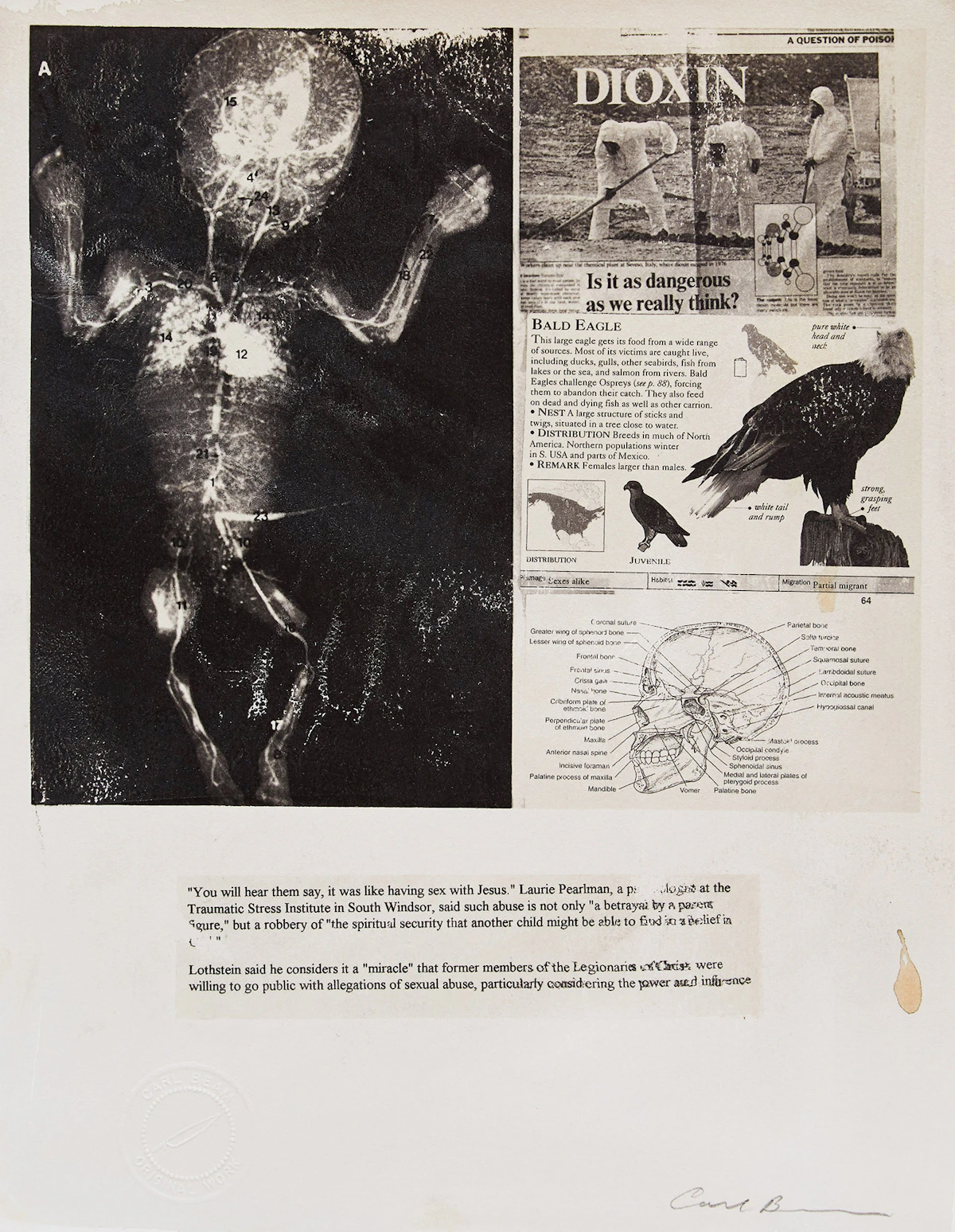 Carl Beam, Untitled (Bald Eagle), mixed media print