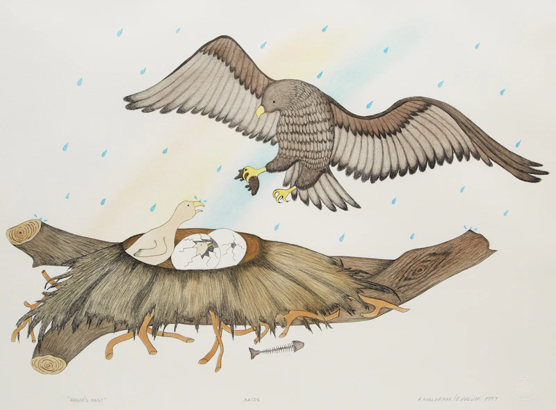 Hawk’s Nest by Peter Malgokak