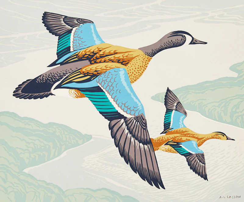 Blue-Winged Teal by Alfred Joseph Casson