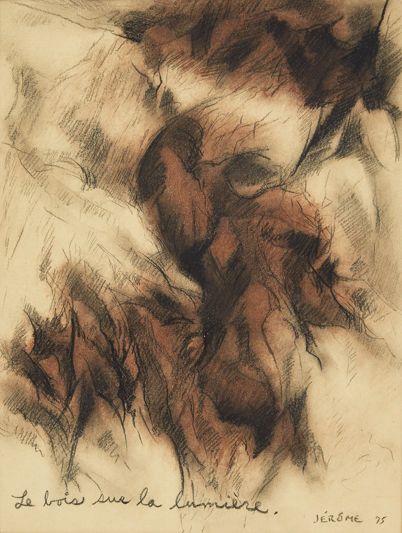 Le bois sur la lumière by Jean-Paul Jérôme