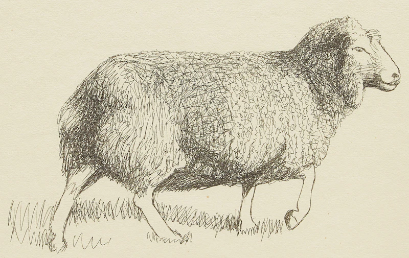 Sheep Walking by Henry Moore