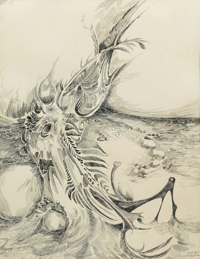 David Lloyd Blackwood, Beach Object, Georgian Bay, ink on paper