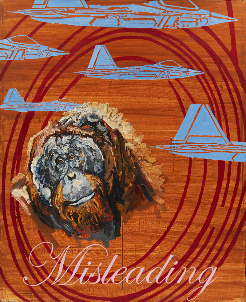 Misleading by Matt Bahen