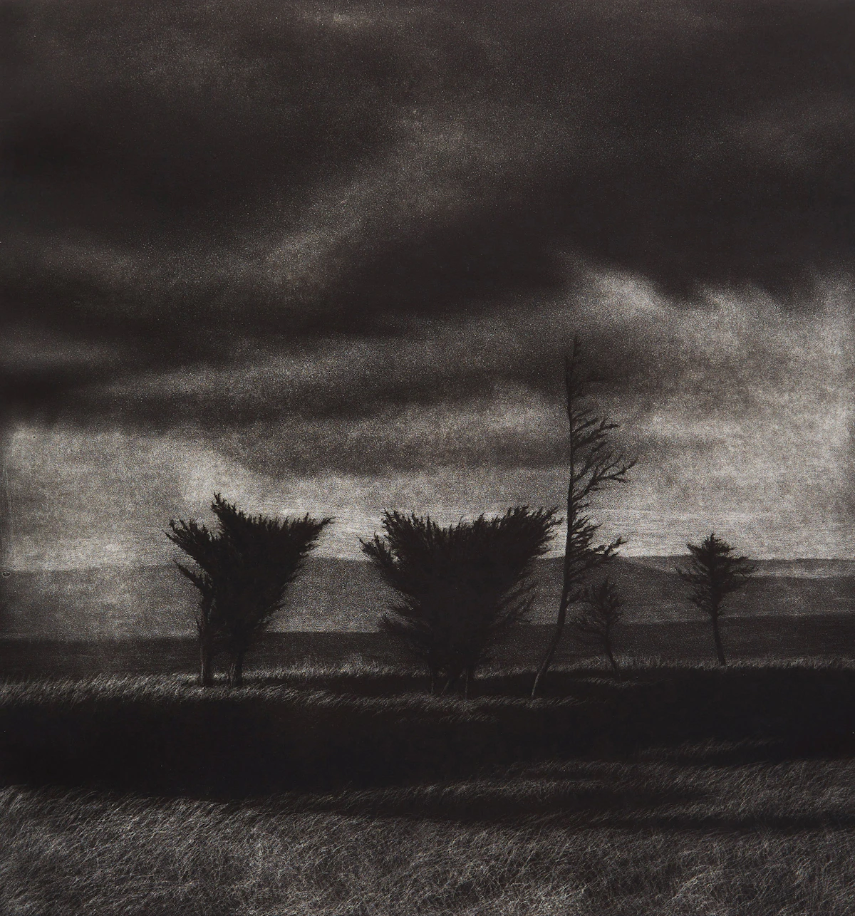 Scott Goudie, Junipers Near Colinet; High Water at Adlatok River, two mezzontints, 1989