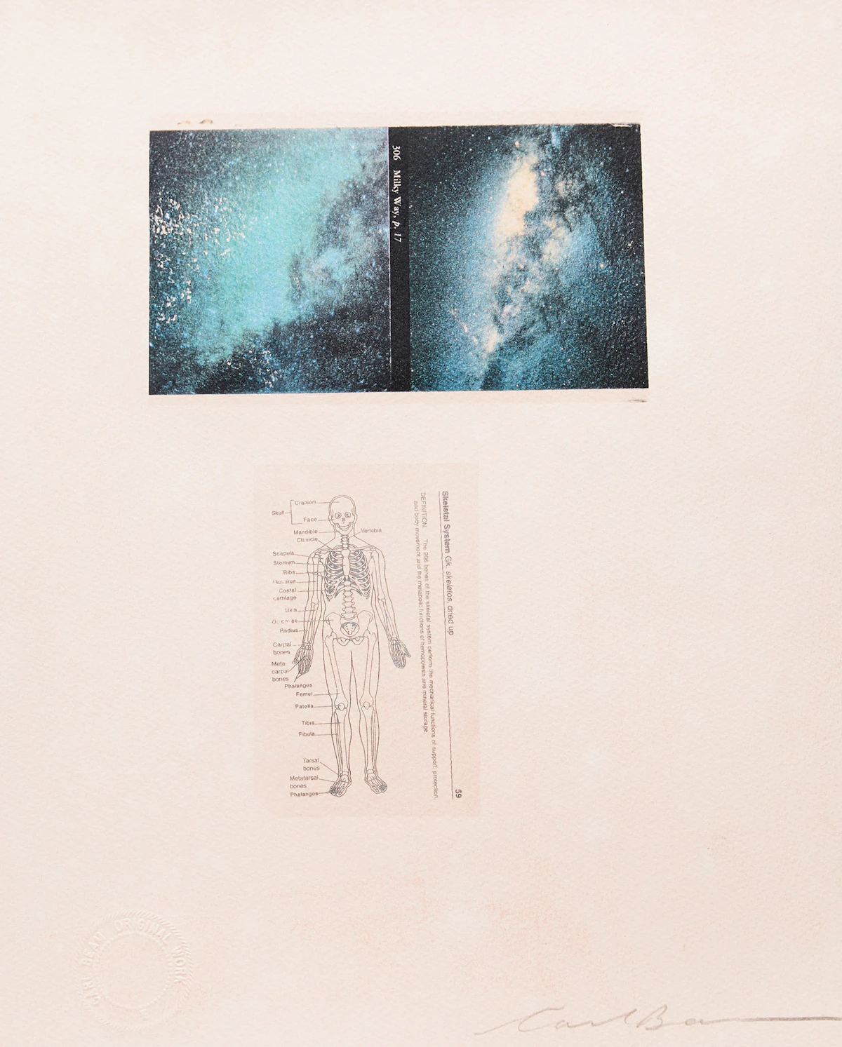Carl Beam, Untitled (Milky Way / Skeletal System), mixed media on paper