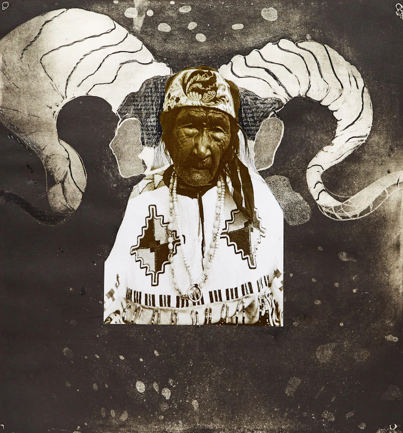 Shaman Lady by Jane Ash Poitras