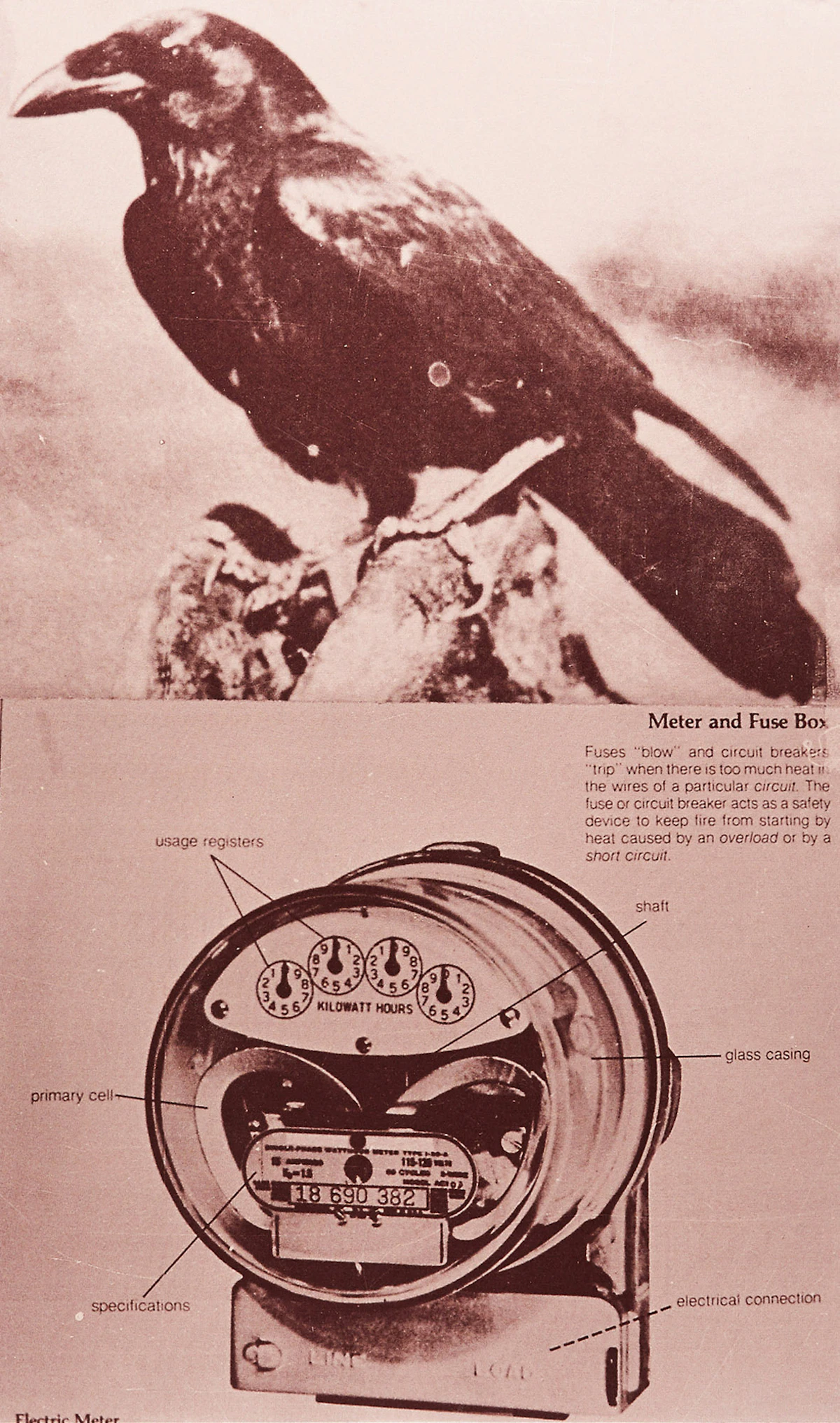 Carl Beam, Two Kinds of Power, serigraph in colour