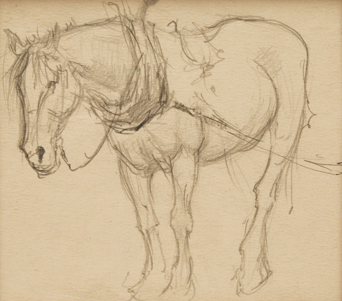 Manly Edward MacDonald, Horse; Woman in Profile; Country House, three pencil drawings