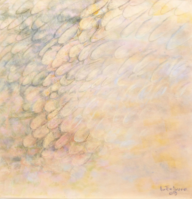 Jean LeFébure, Petite déferlante, pastel