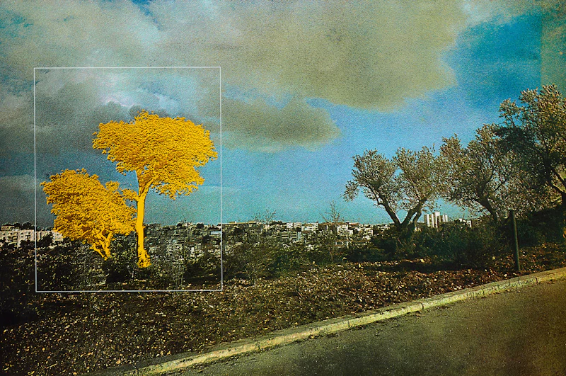 Menashe Kadishman, Jerusalem, colour screenprint