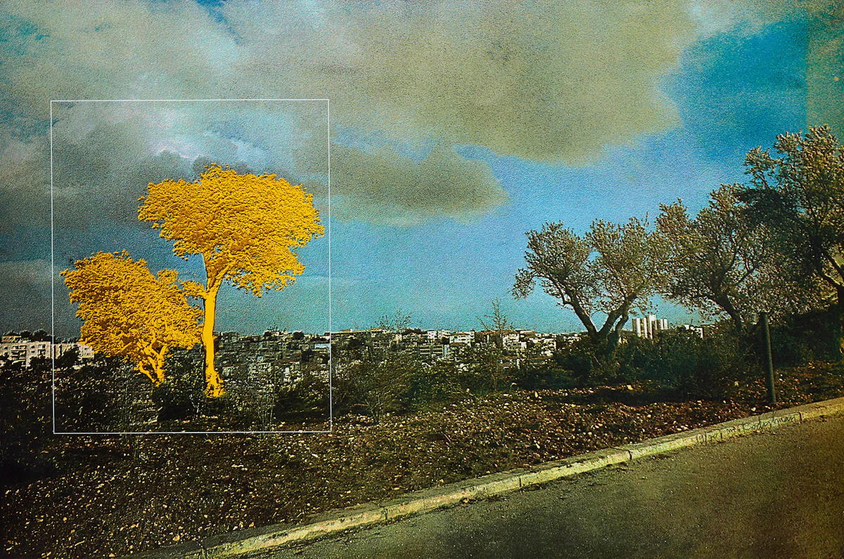 Menashe Kadishman - Highest Result