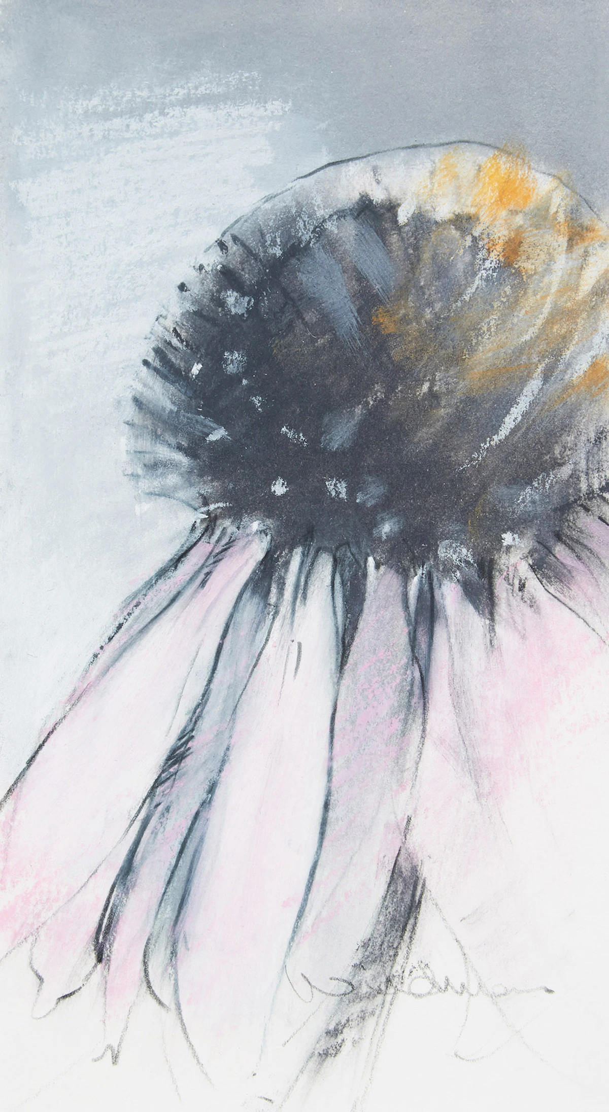 Sally Wildman, Floral , pastel on paper