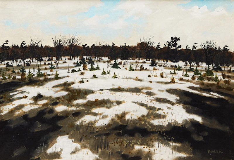 Burnt Field by Bruno Joseph Bobak