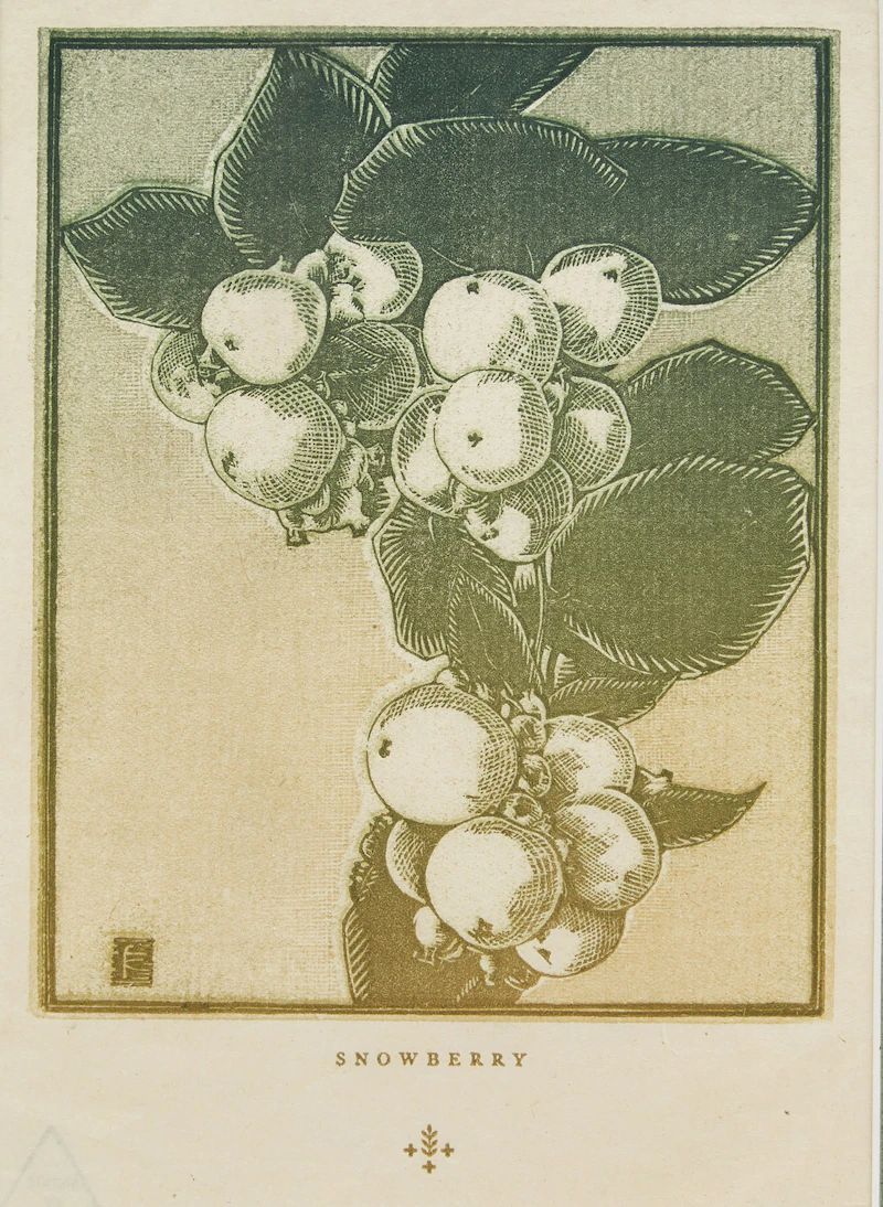 Franklin Carmichael, Snowberry, woodcut