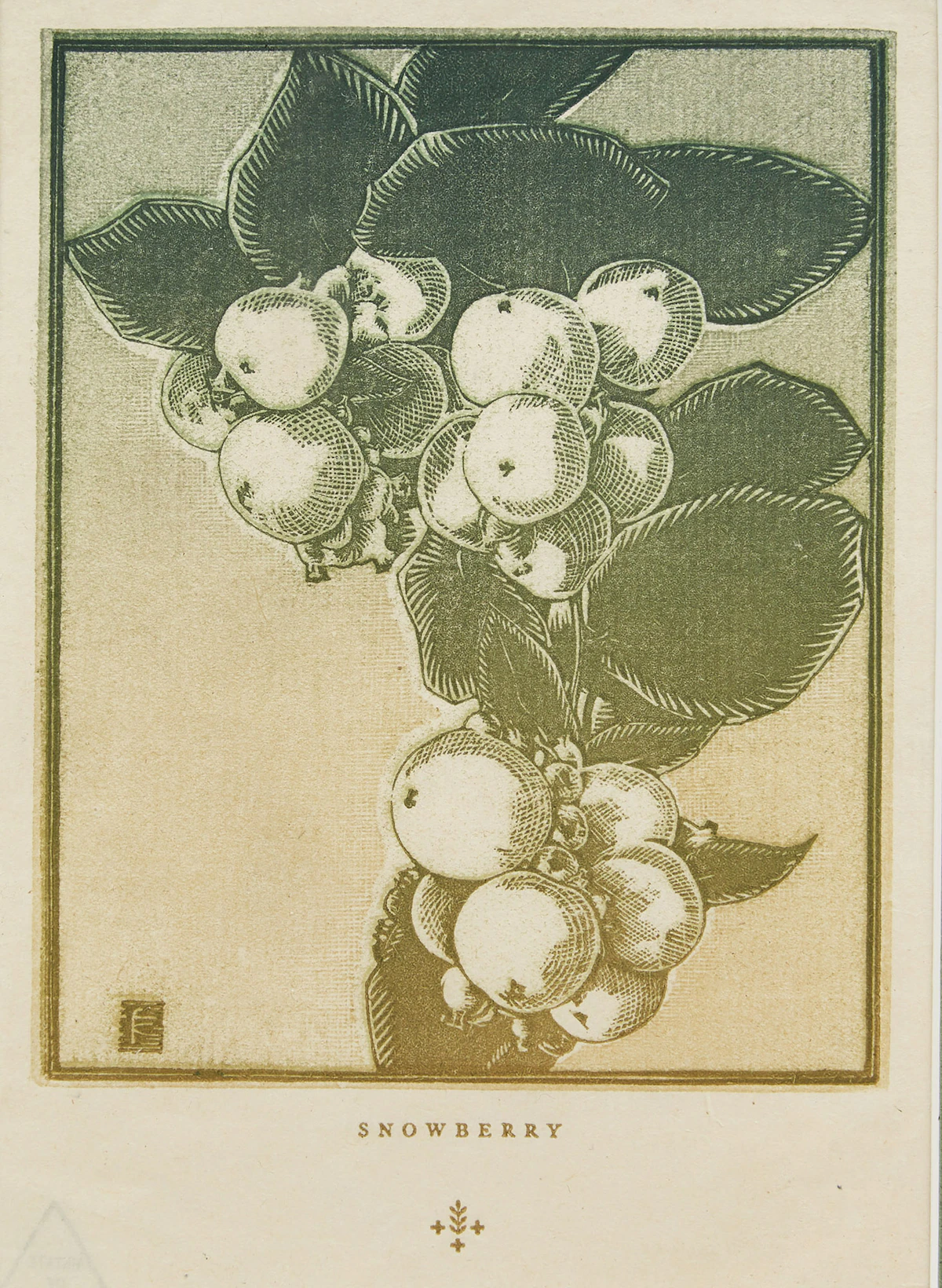 Franklin Carmichael, Snowberry, woodcut