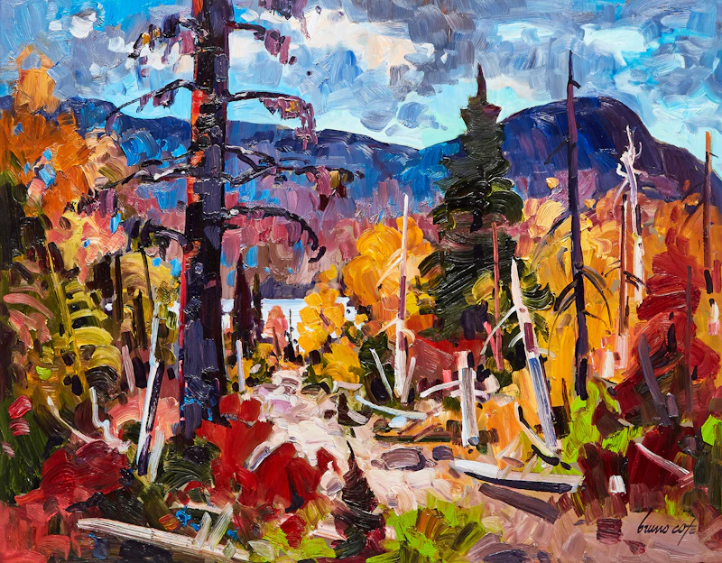 Trail to the Lake by Bruno Côté