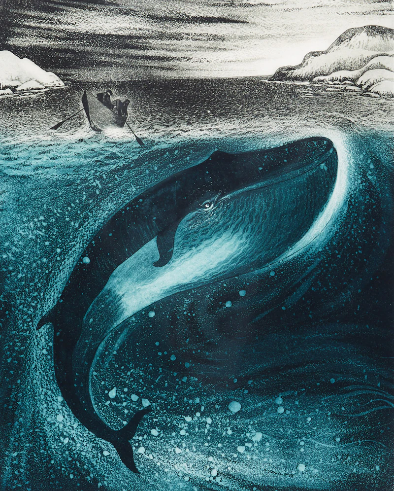 David Lloyd Blackwood, Young Whale in Greenspond Tickle, etching and aquatint