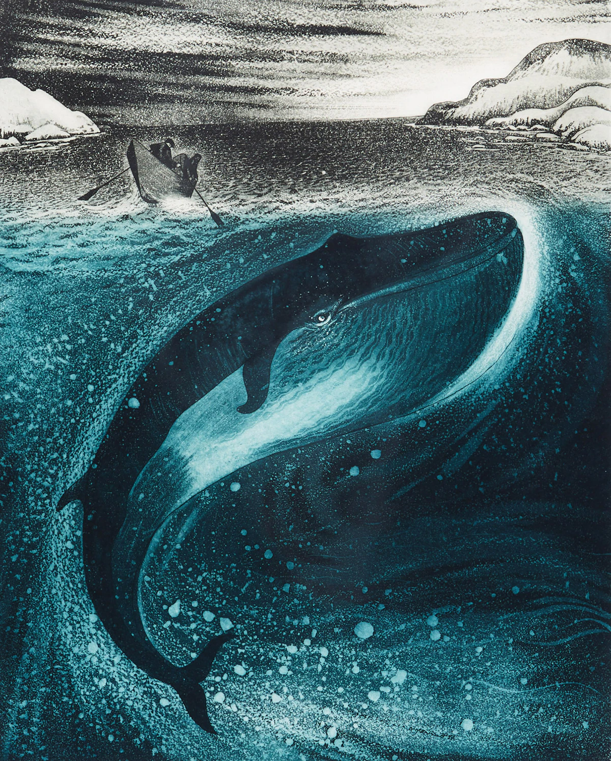 David Lloyd Blackwood, Young Whale in Greenspond Tickle, etching and aquatint, 1974