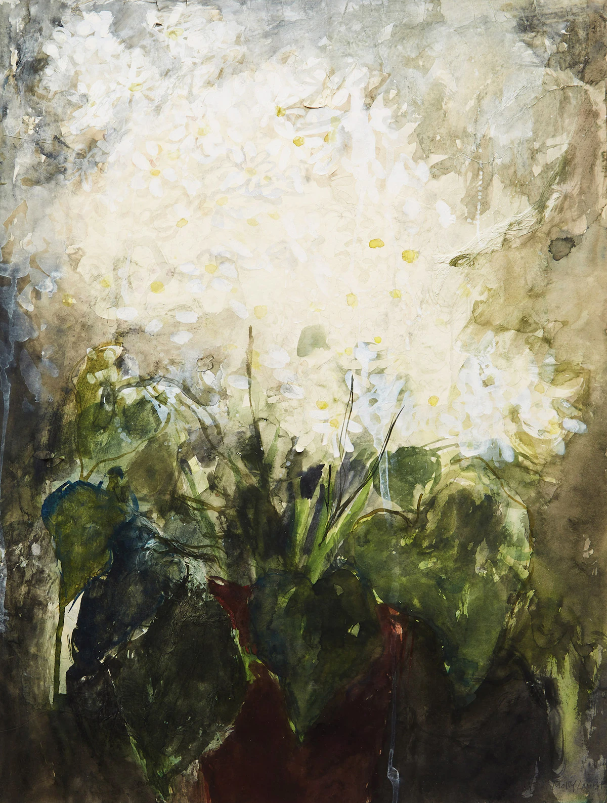 Molly Lamb Bobak, Daisies, watercolour