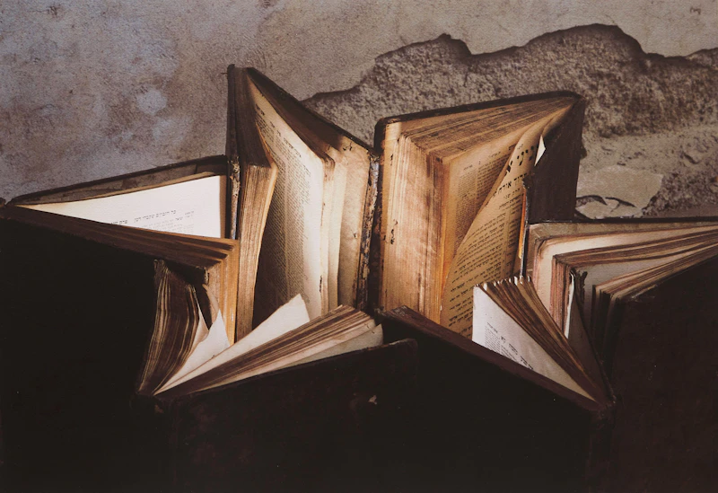 The Star of David by Yuri Dojc
