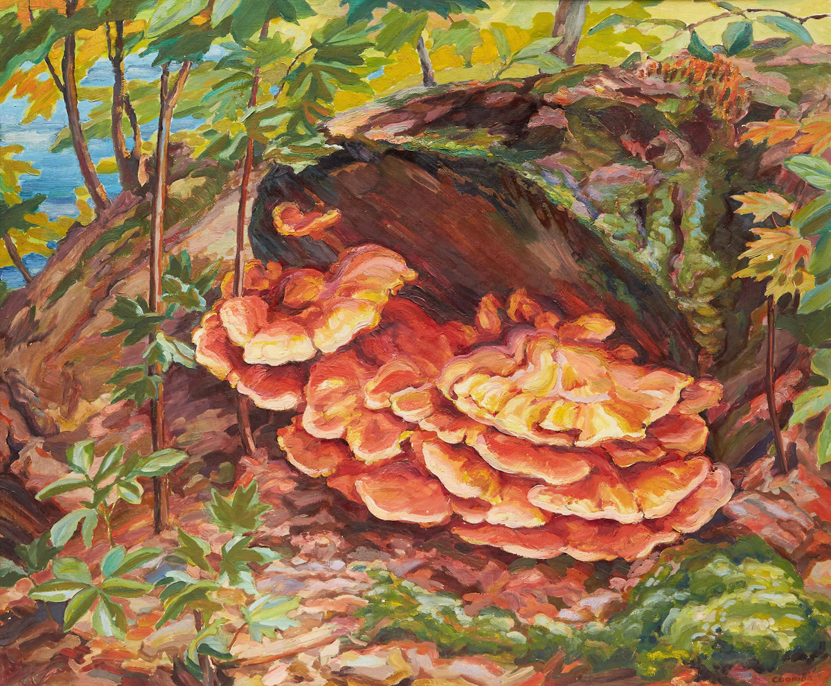 Edith Grace Coombs, Undergrowth, oil on board