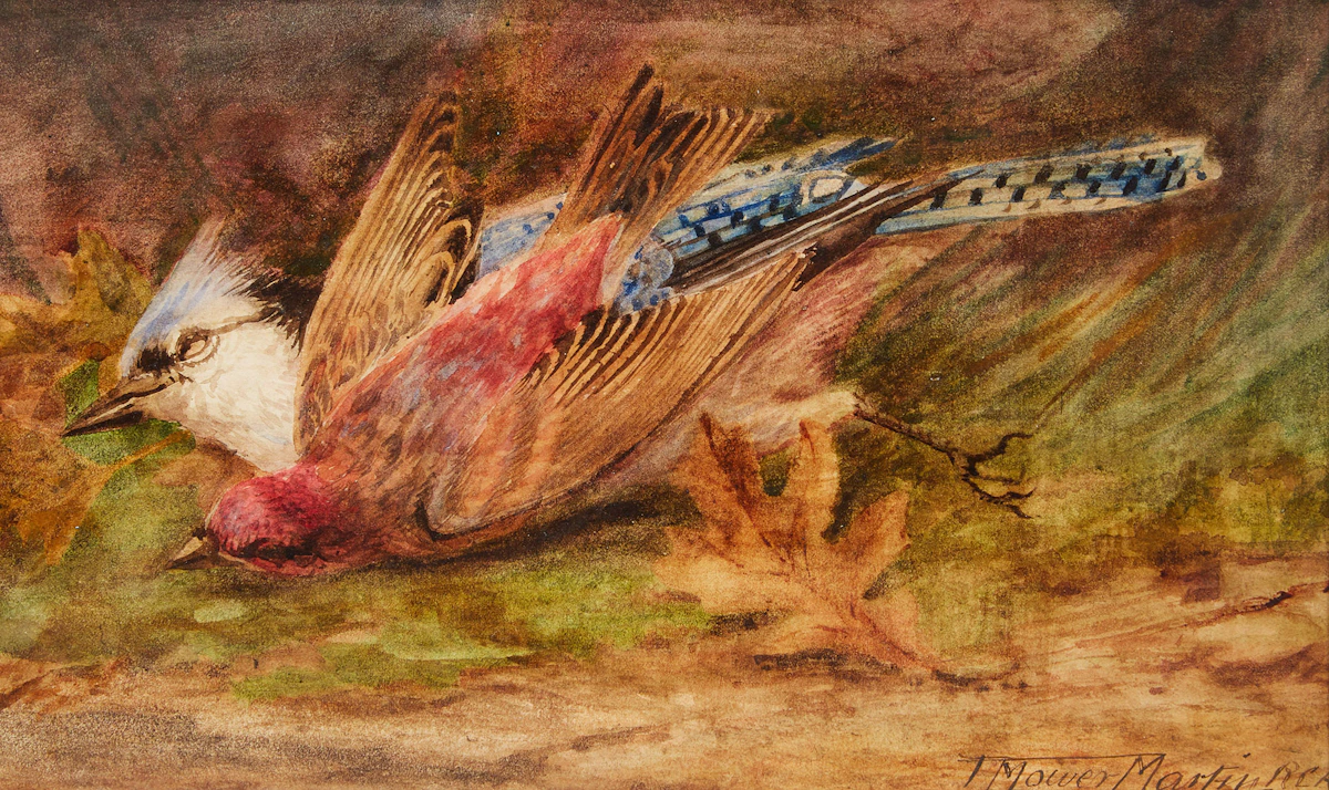 Thomas Mower Martin, Still Life of Cardinal and Blue Jay, watercolour