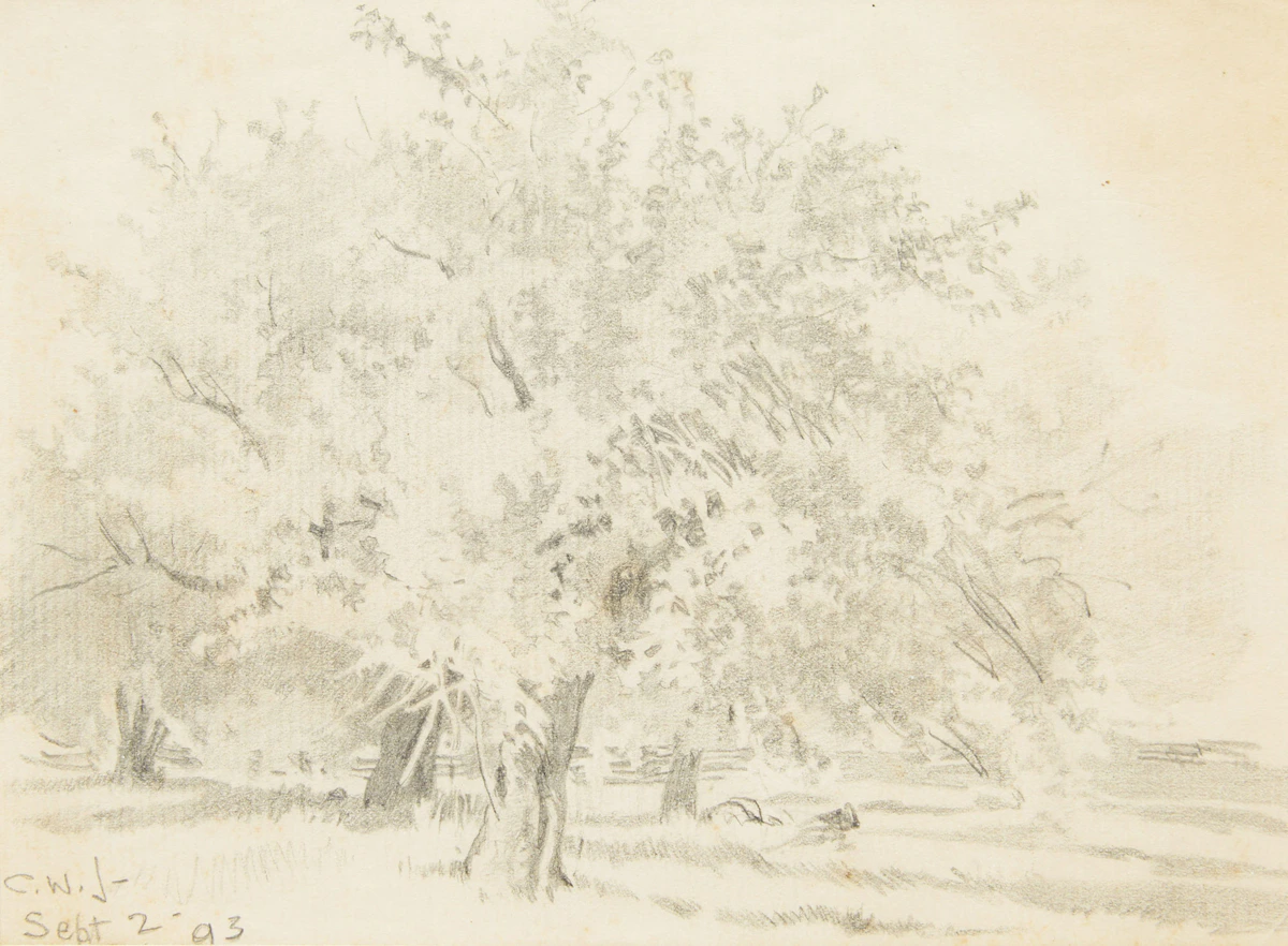 Charles William Jefferys, Tree; House, two graphites, 1893 