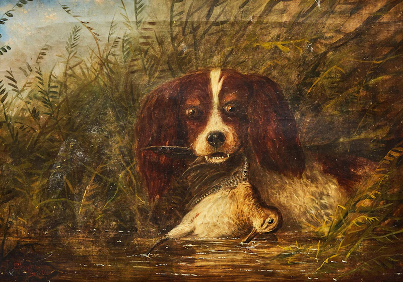 Dog by Edward Scrope Shrapnel