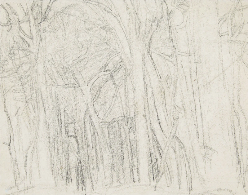 Forest (possibly near Ottawa) by Frederick Horsman Varley