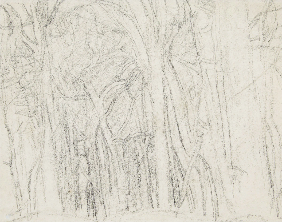 Frederick Horsman Varley, Forest (possibly near Ottawa), pencil drawing, circa 1940