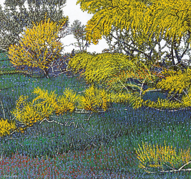 West Yellow Rough by Ivan Kenneth Eyre