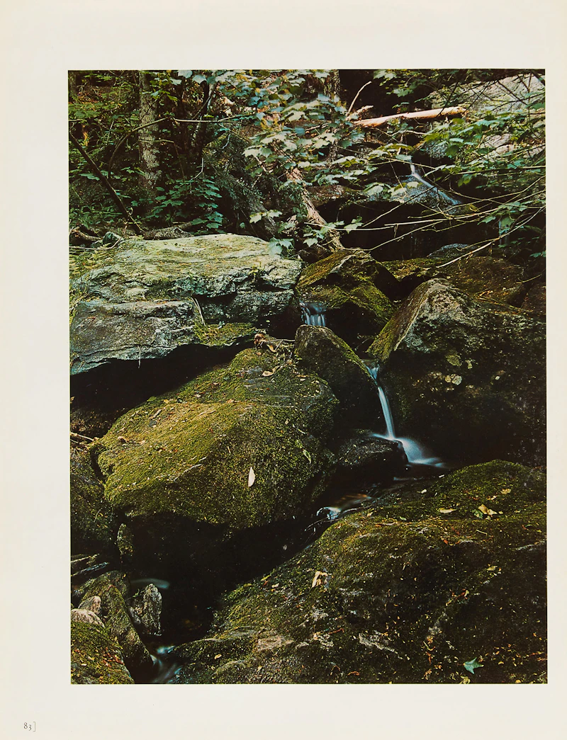 Eliot Furness Porter, Plates from the book “In Wildness Is the Preservation of the World”, set of 10 colour lithographed prints