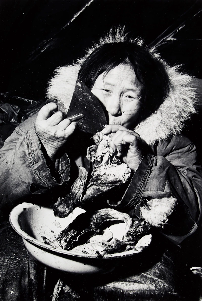 Eskimo Woman Eating Caribou Meat by Richard Harrington