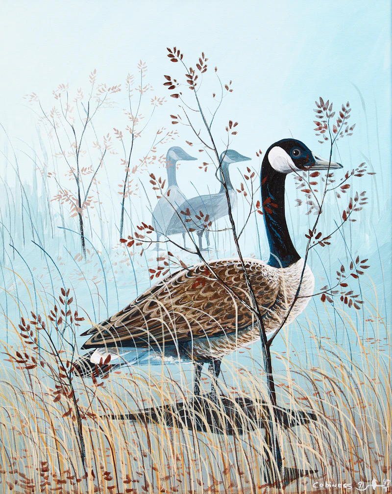 Geese by Eddy Cobiness