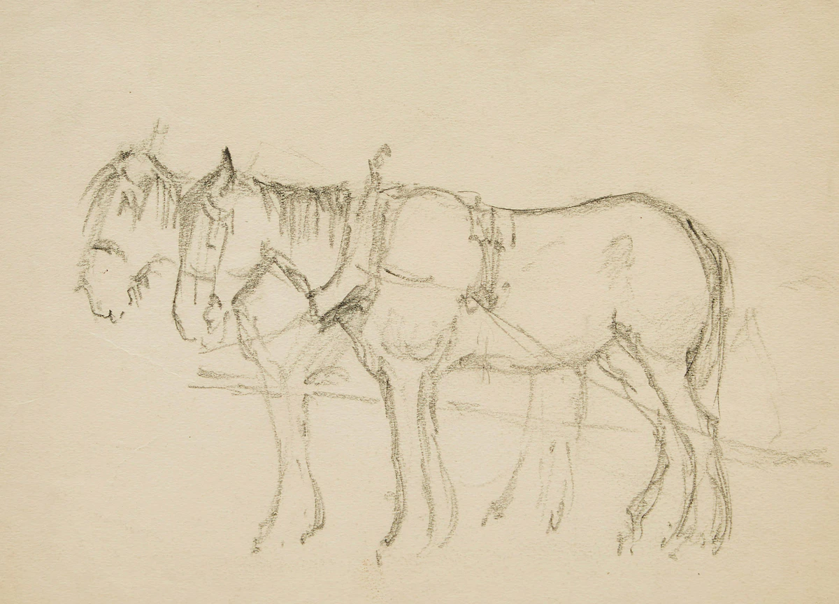 Manly Edward MacDonald, Two Horses, drawing