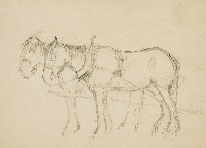 Two Horses by Manly Edward MacDonald