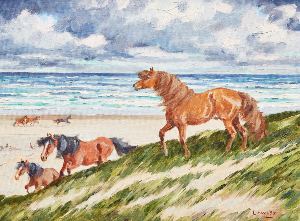 John Douglas Lawley, Sable Island, oil on canvas board